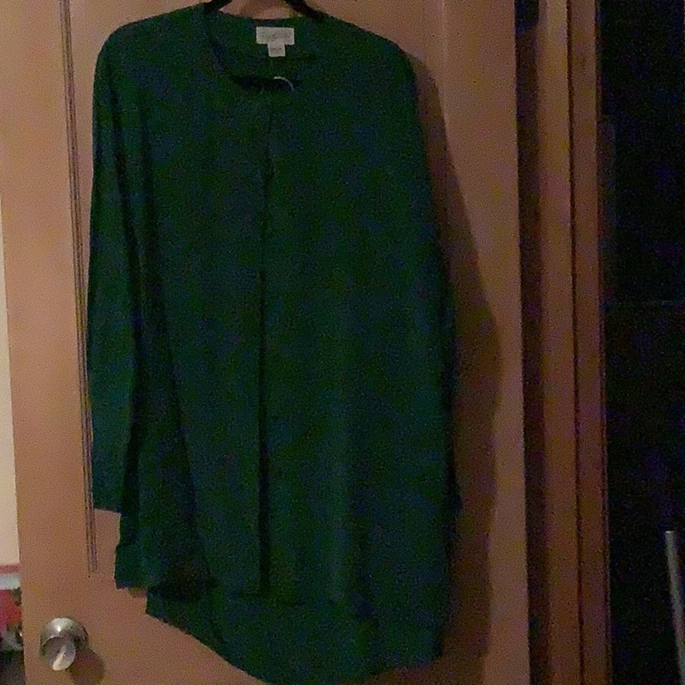 Pure silk skirt and shirt with button down and raglan sleeves